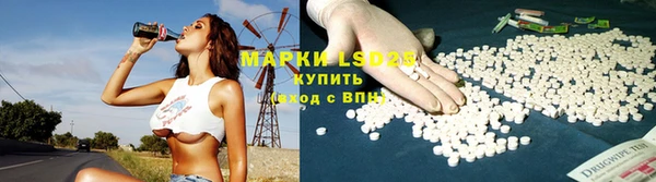 шишки Беломорск