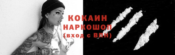 шишки Беломорск
