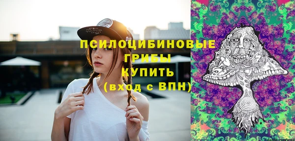 mdma Богородицк
