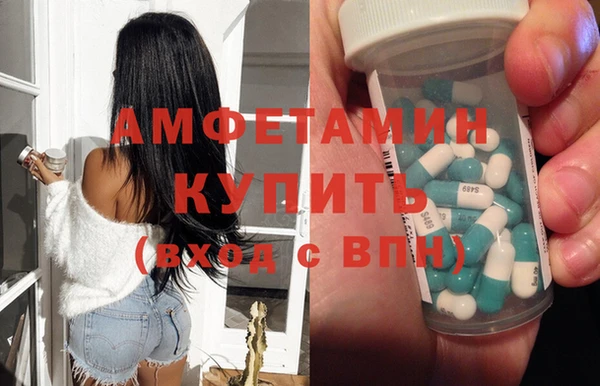 шишки Беломорск