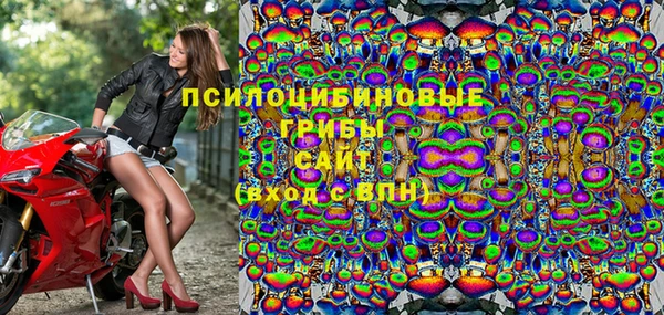 эйфоретик Белокуриха