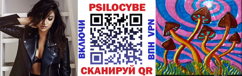 Псилоцибиновые грибы GOLDEN TEACHER  Бодайбо 